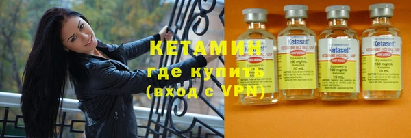 сатива Ельня