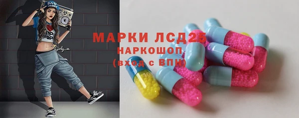 шишки Братск