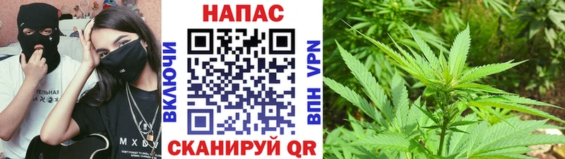 Канабис план  закладки  Балабаново 